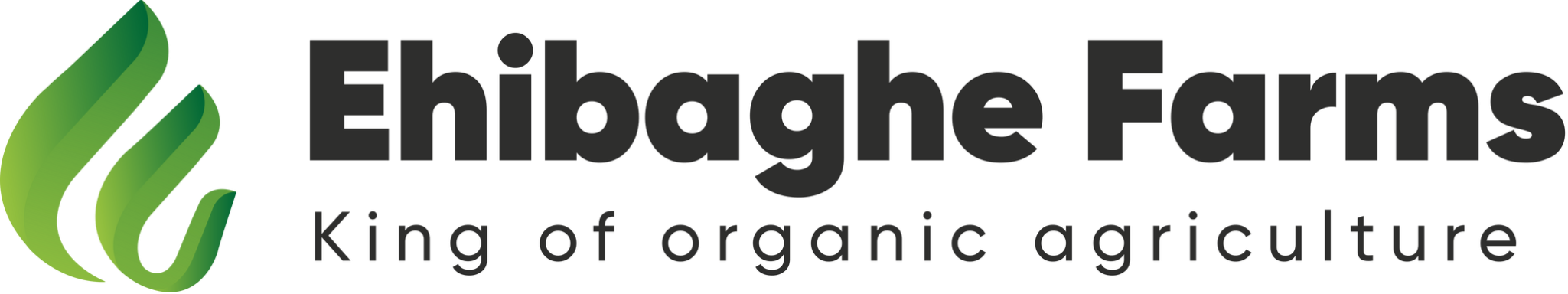 Horizontal Colour Logo Version 1